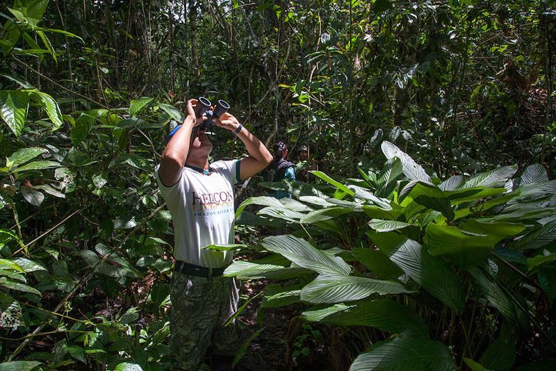 Heliconia Amazon River Lodge Francisco de Orellana Екстер'єр фото